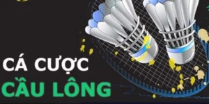 Hướng Dẫn Chơi Cá Cược Cầu Lông Tại 78Win: Chi Tiết Từ A-Z