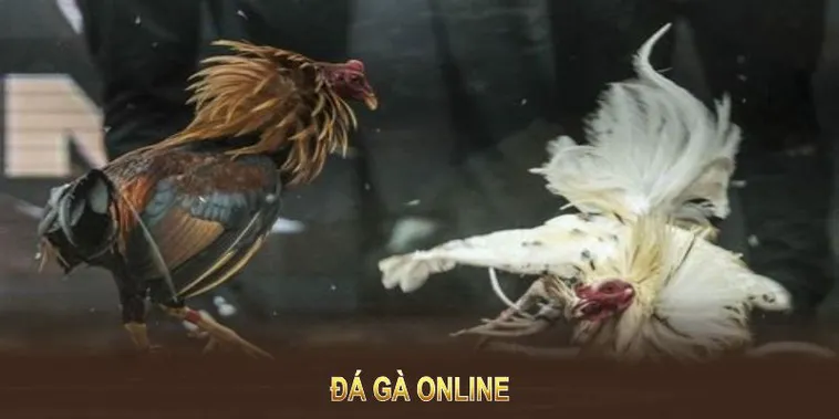 Hướng Dẫn Chơi Đá Gà GA28 Tại 78Win Một Cách Hiệu Quả Nhất