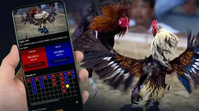 Hướng Dẫn Cách Chơi Đá Gà WS168 Tại 78Win Cụ Thể, Chi Tiết