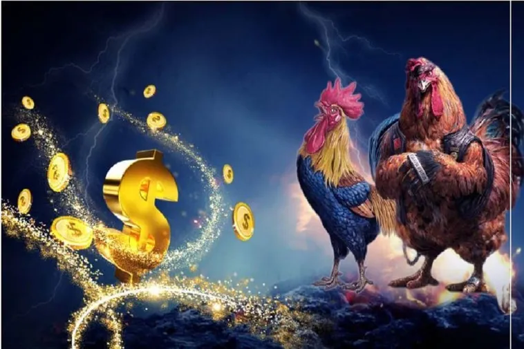 Hướng Dẫn Cách Chơi Đá Gà WS168 Tại 78Win Cụ Thể, Chi Tiết