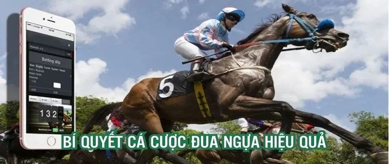 Tìm Hiểu Cá Cược Đua Ngựa 78Win: Hướng Dẫn Chi Tiết Và Cụ Thể 2 Tìm Hiểu Cá Cược Đua Ngựa 78Win: Hướng Dẫn Chi Tiết Và Cụ Thể