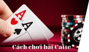 Hướng Dẫn Cách Chơi Sắc Tê Tại Nhà Cái 78Win Hiệu Quả Nhất